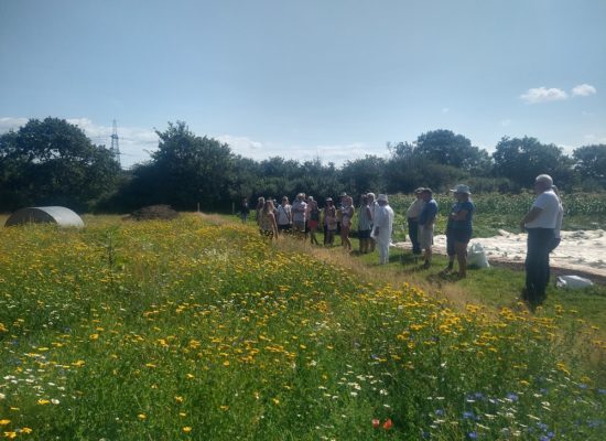 Visitors to the garden stood listening to Amelia talking